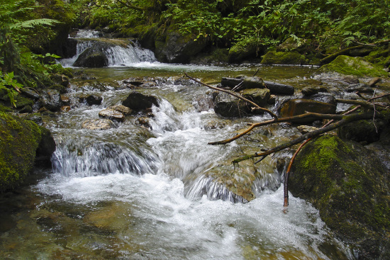 Angelurlaub im 3 Sterne Hotel & Gasthof Markterwirt, Altenmarkt-Zauchensee im Pongau, Salzburger Land Angelurlaub im 3 Sterne Hotel & Gasthof Markterwirt, Altenmarkt-Zauchensee im Pongau, Salzburger Land