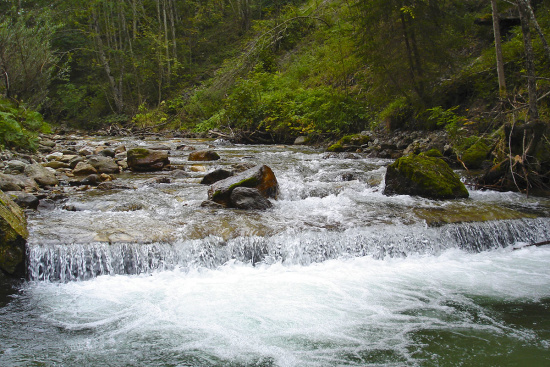 Angelurlaub im 3 Sterne Hotel & Gasthof Markterwirt, Altenmarkt-Zauchensee im Pongau, Salzburger Land Angelurlaub im 3 Sterne Hotel & Gasthof Markterwirt, Altenmarkt-Zauchensee im Pongau, Salzburger Land