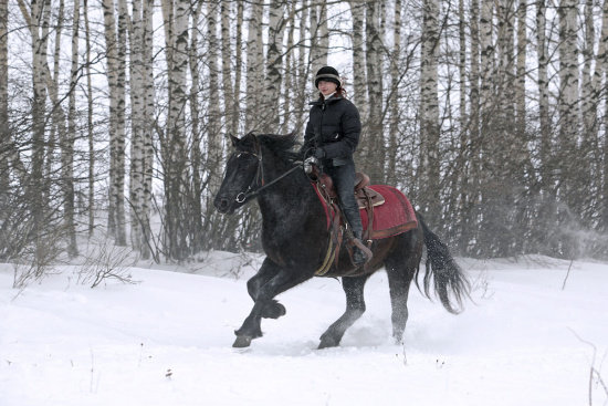 Skifahren, Snowboarden, Langlaufen – Winter in Altenmarkt-Zauchensee im 3 Sterne Hotel & Gasthof Markterwirt, Salzburger Land Skifahren, Snowboarden, Langlaufen – Winter in Altenmarkt-Zauchensee im 3 Sterne Hotel & Gasthof Markterwirt, Salzburger Land